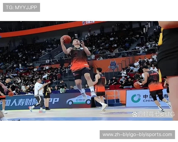 山东省CBA篮球球队实力与发展现状